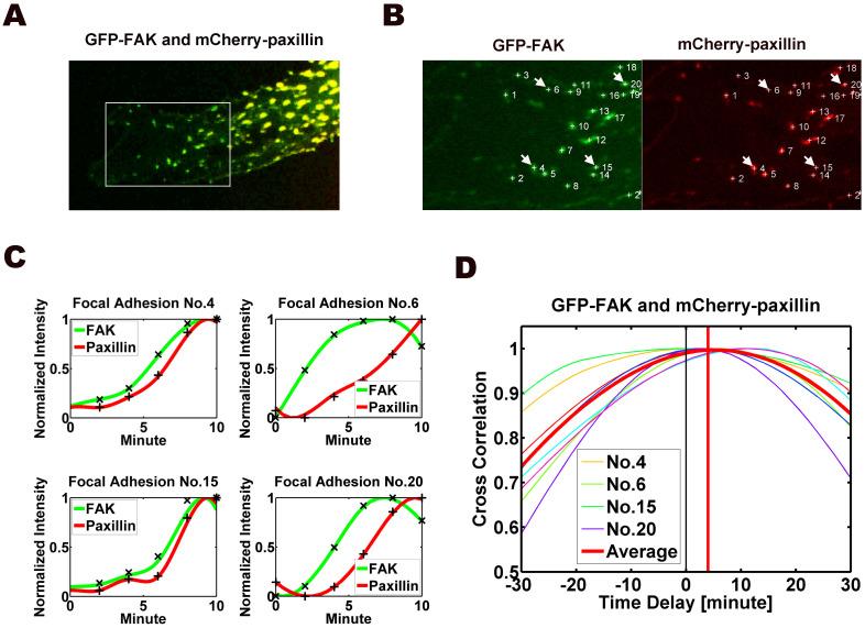 https://cdn.ncbi.nlm.nih.gov/pmc/blobs/5c14/4129417/62c86ff343a5/srep06024-f3.jpg