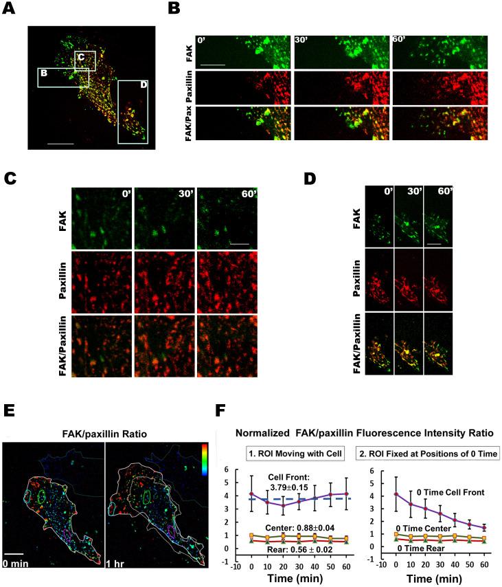 https://cdn.ncbi.nlm.nih.gov/pmc/blobs/5c14/4129417/962a16ee89a5/srep06024-f1.jpg