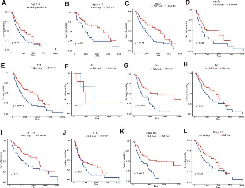 https://cdn.ncbi.nlm.nih.gov/pmc/blobs/5c15/11155616/1c05df8394a8/medi-103-e38347-g004.jpg