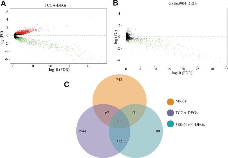 https://cdn.ncbi.nlm.nih.gov/pmc/blobs/5c15/11155616/a4a65cb8b237/medi-103-e38347-g001.jpg