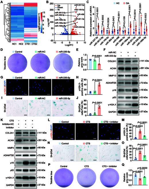 https://cdn.ncbi.nlm.nih.gov/pmc/blobs/5c15/12059312/376d0ec71240/research.0694.fig.001.jpg