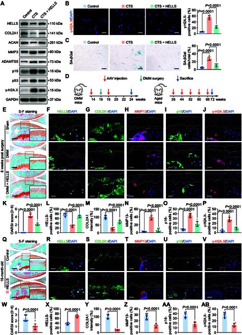 https://cdn.ncbi.nlm.nih.gov/pmc/blobs/5c15/12059312/4def97c05db2/research.0694.fig.003.jpg