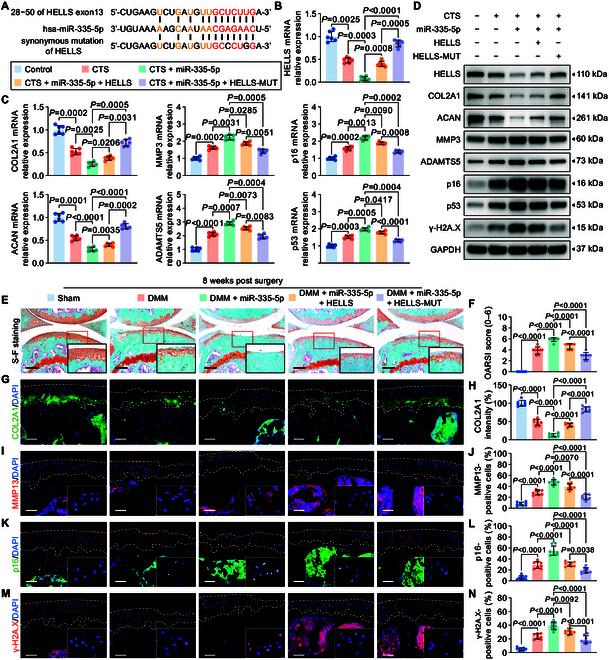 https://cdn.ncbi.nlm.nih.gov/pmc/blobs/5c15/12059312/8916724ad00c/research.0694.fig.004.jpg