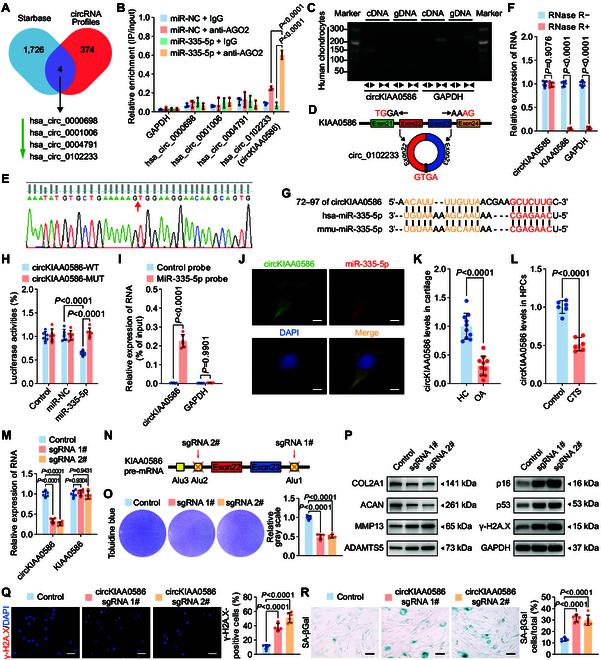 https://cdn.ncbi.nlm.nih.gov/pmc/blobs/5c15/12059312/8c57b5f82cb2/research.0694.fig.005.jpg