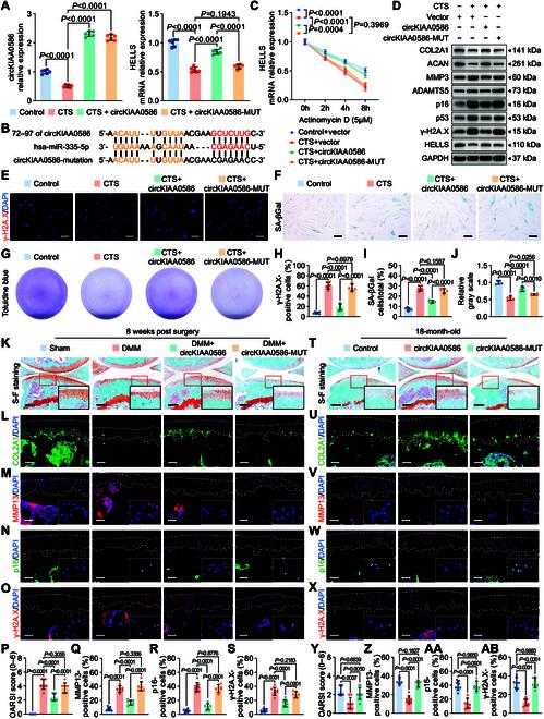 https://cdn.ncbi.nlm.nih.gov/pmc/blobs/5c15/12059312/e354edfca2f8/research.0694.fig.006.jpg