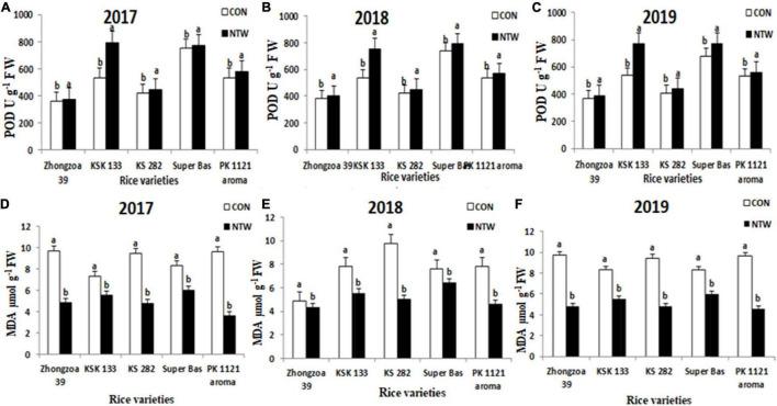 https://cdn.ncbi.nlm.nih.gov/pmc/blobs/5c15/9334000/0d757b1c4018/fpls-13-916949-g005.jpg