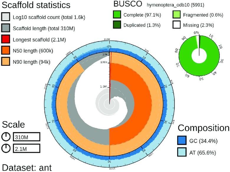 https://cdn.ncbi.nlm.nih.gov/pmc/blobs/5c16/9841434/25904a4e277c/gkac510fig4.jpg