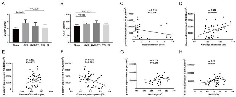 https://cdn.ncbi.nlm.nih.gov/pmc/blobs/5c17/11177467/24fccd3f03f7/13018_2024_4817_Fig6_HTML.jpg