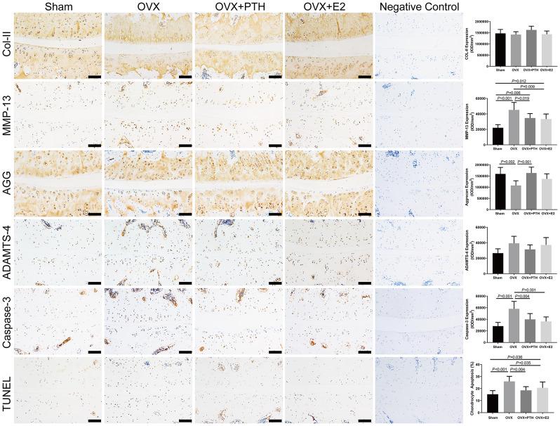 https://cdn.ncbi.nlm.nih.gov/pmc/blobs/5c17/11177467/77dfa2dae7a5/13018_2024_4817_Fig2_HTML.jpg