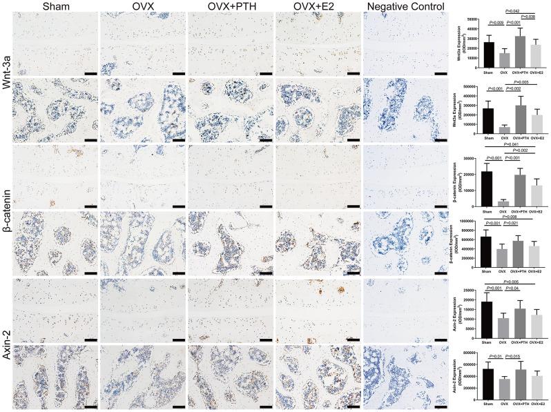 https://cdn.ncbi.nlm.nih.gov/pmc/blobs/5c17/11177467/a787cd4abf00/13018_2024_4817_Fig4_HTML.jpg