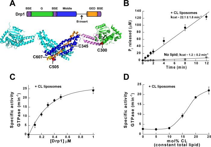 https://cdn.ncbi.nlm.nih.gov/pmc/blobs/5c17/4055269/e394c266c90d/1905fig1.jpg