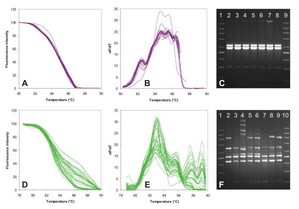 https://cdn.ncbi.nlm.nih.gov/pmc/blobs/5c1a/2779194/a337282e8166/1471-2180-9-234-5.jpg