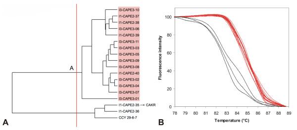 https://cdn.ncbi.nlm.nih.gov/pmc/blobs/5c1a/2779194/c44c52d7e9d8/1471-2180-9-234-12.jpg