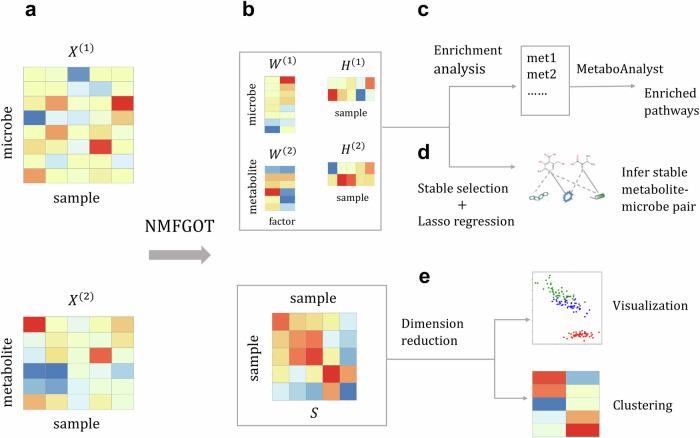 https://cdn.ncbi.nlm.nih.gov/pmc/blobs/5c1c/11586431/3aaef615f109/41522_2024_612_Fig1_HTML.jpg
