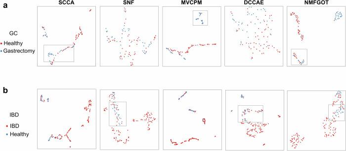https://cdn.ncbi.nlm.nih.gov/pmc/blobs/5c1c/11586431/5e0159ac7006/41522_2024_612_Fig3_HTML.jpg