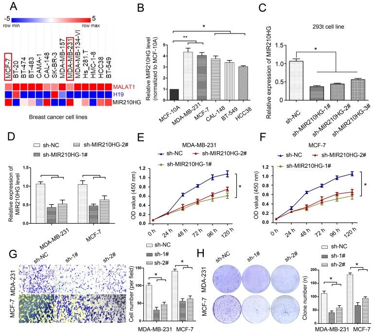 https://cdn.ncbi.nlm.nih.gov/pmc/blobs/5c1c/6710038/7eca28c8abc7/aging-11-102149-g002.jpg
