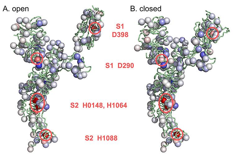 https://cdn.ncbi.nlm.nih.gov/pmc/blobs/5c1d/8184299/b1604810fd71/bbab056f2.jpg