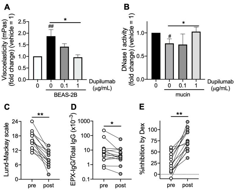 https://cdn.ncbi.nlm.nih.gov/pmc/blobs/5c1f/10706369/1f83cb5c5cb1/cells-12-02746-g005.jpg