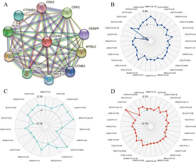 https://cdn.ncbi.nlm.nih.gov/pmc/blobs/5c1f/12037465/27c74a5e4c19/12672_2025_2438_Fig6_HTML.jpg