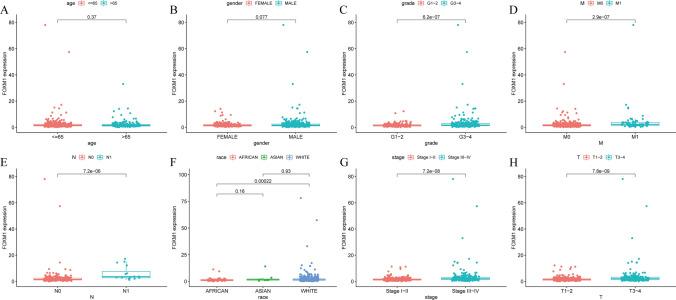 https://cdn.ncbi.nlm.nih.gov/pmc/blobs/5c1f/12037465/32b5e9ac7ab3/12672_2025_2438_Fig3_HTML.jpg