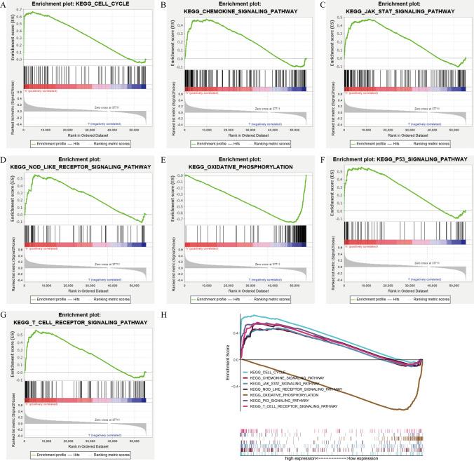 https://cdn.ncbi.nlm.nih.gov/pmc/blobs/5c1f/12037465/8effe39d804a/12672_2025_2438_Fig5_HTML.jpg