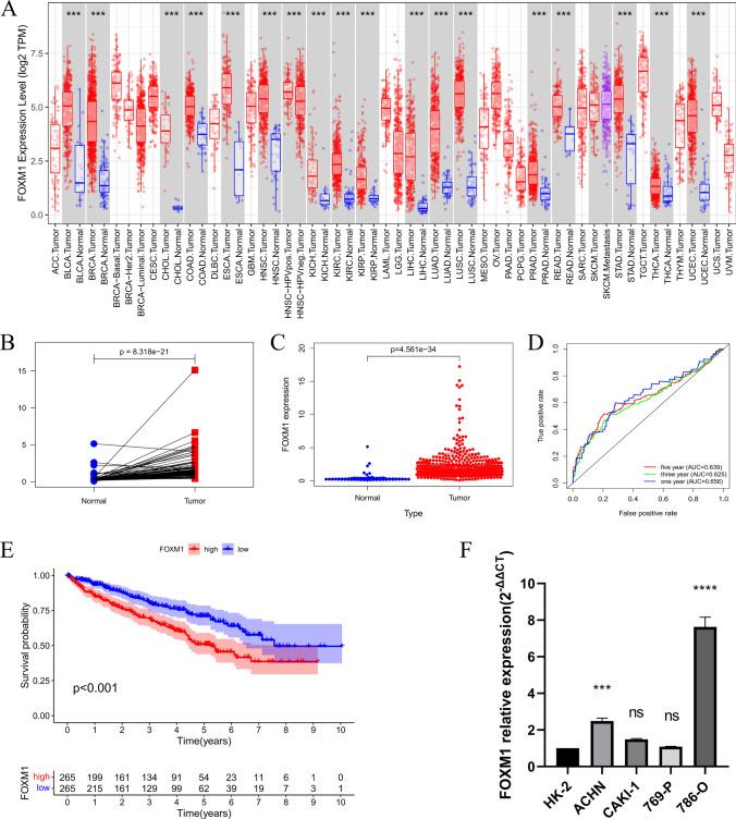 https://cdn.ncbi.nlm.nih.gov/pmc/blobs/5c1f/12037465/f76629a2d065/12672_2025_2438_Fig1_HTML.jpg