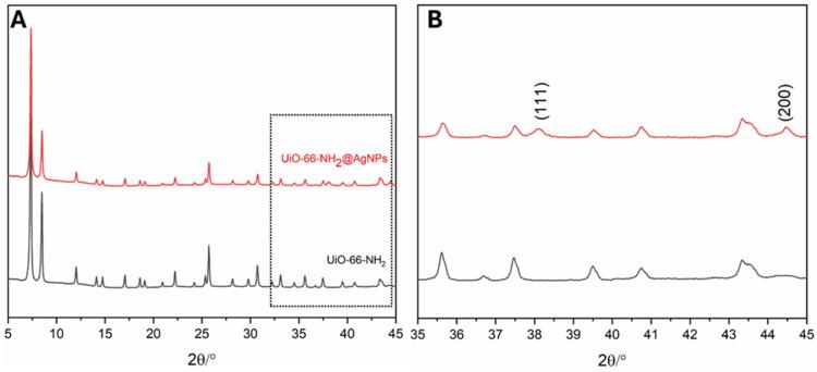 https://cdn.ncbi.nlm.nih.gov/pmc/blobs/5c20/12030114/812d6fafa9c9/pharmaceutics-17-00512-g002.jpg