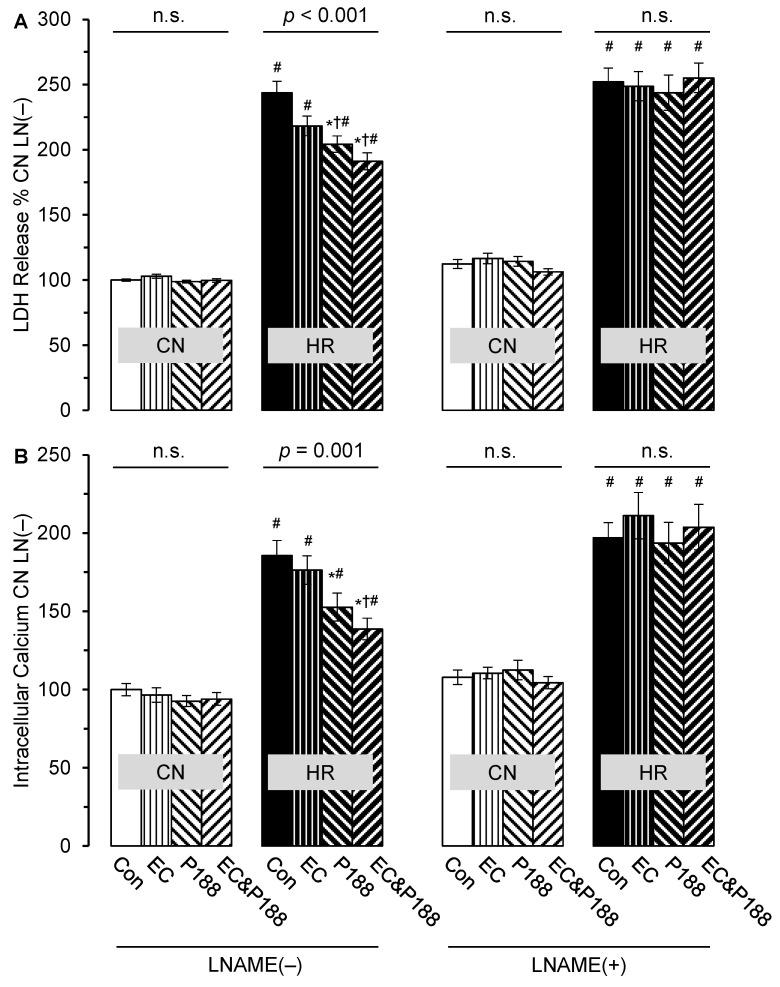 https://cdn.ncbi.nlm.nih.gov/pmc/blobs/5c21/12248624/f00f0aeba4b3/cells-14-01001-g003.jpg
