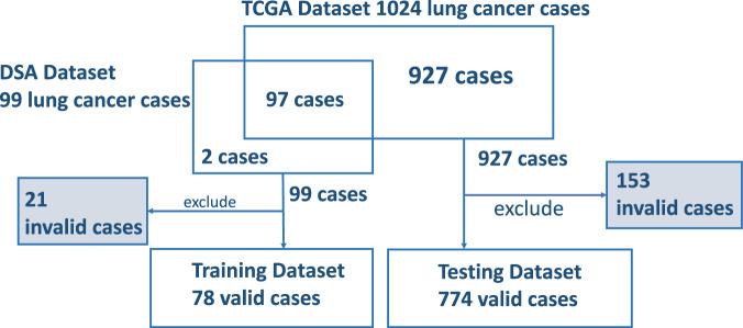 https://cdn.ncbi.nlm.nih.gov/pmc/blobs/5c24/11063058/09397d10547c/41746_2024_1079_Fig1_HTML.jpg