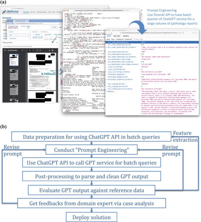 https://cdn.ncbi.nlm.nih.gov/pmc/blobs/5c24/11063058/7f302eb35116/41746_2024_1079_Fig7_HTML.jpg