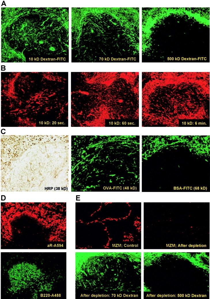 https://cdn.ncbi.nlm.nih.gov/pmc/blobs/5c24/2194088/164e5732ed58/20021801f1.jpg