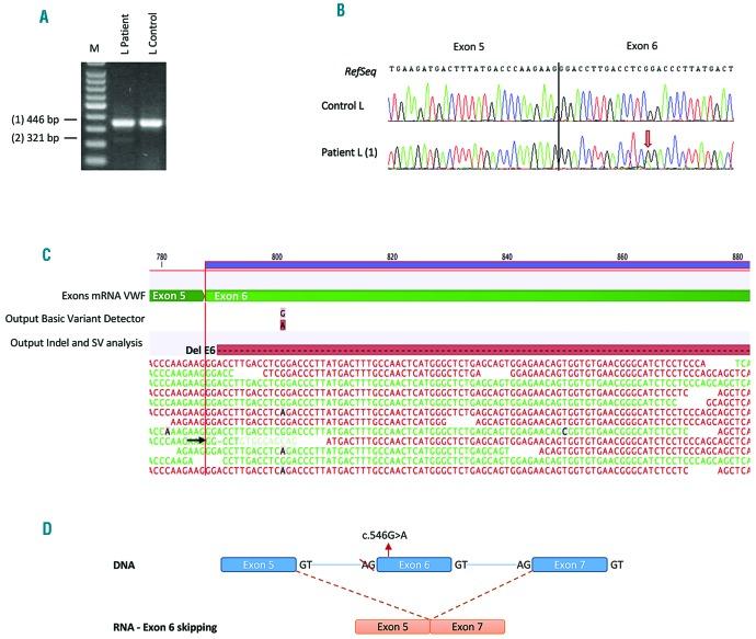 https://cdn.ncbi.nlm.nih.gov/pmc/blobs/5c26/6395343/147b1f8c6256/104587.fig2.jpg