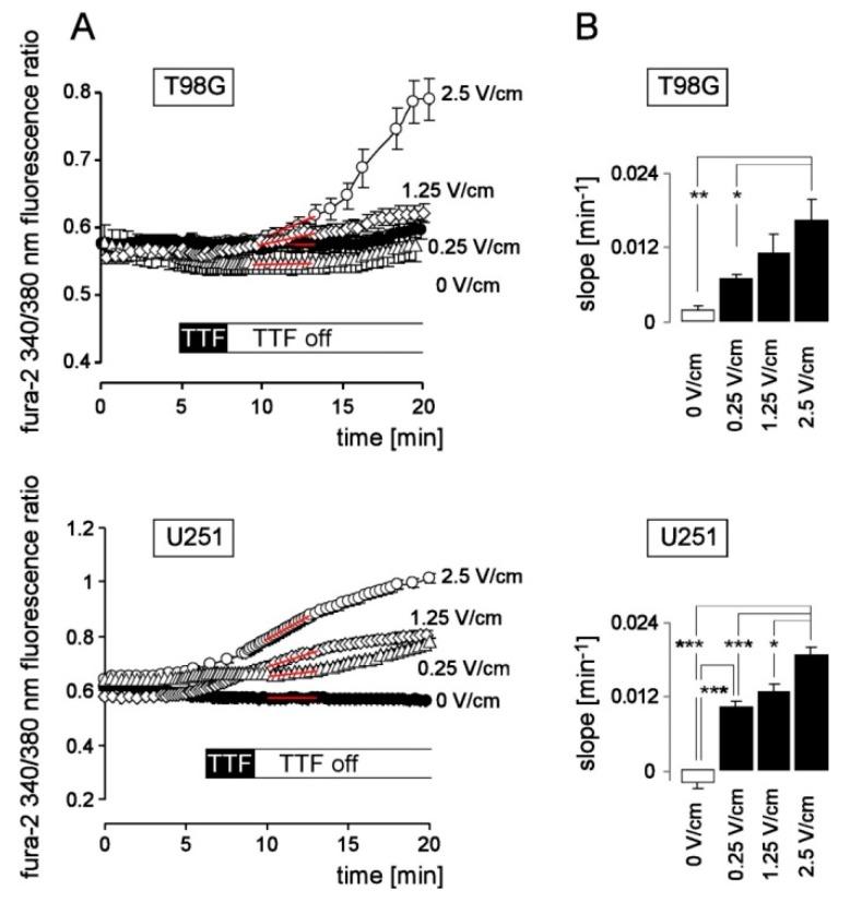 https://cdn.ncbi.nlm.nih.gov/pmc/blobs/5c27/6356873/369704b6922f/cancers-11-00110-g002.jpg