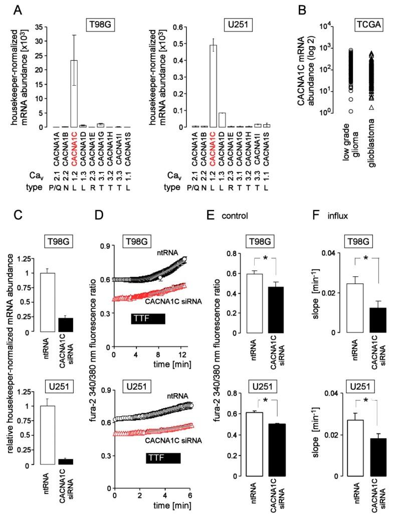 https://cdn.ncbi.nlm.nih.gov/pmc/blobs/5c27/6356873/a019688f47b9/cancers-11-00110-g005.jpg