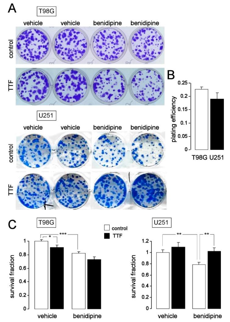https://cdn.ncbi.nlm.nih.gov/pmc/blobs/5c27/6356873/b233946566de/cancers-11-00110-g009.jpg