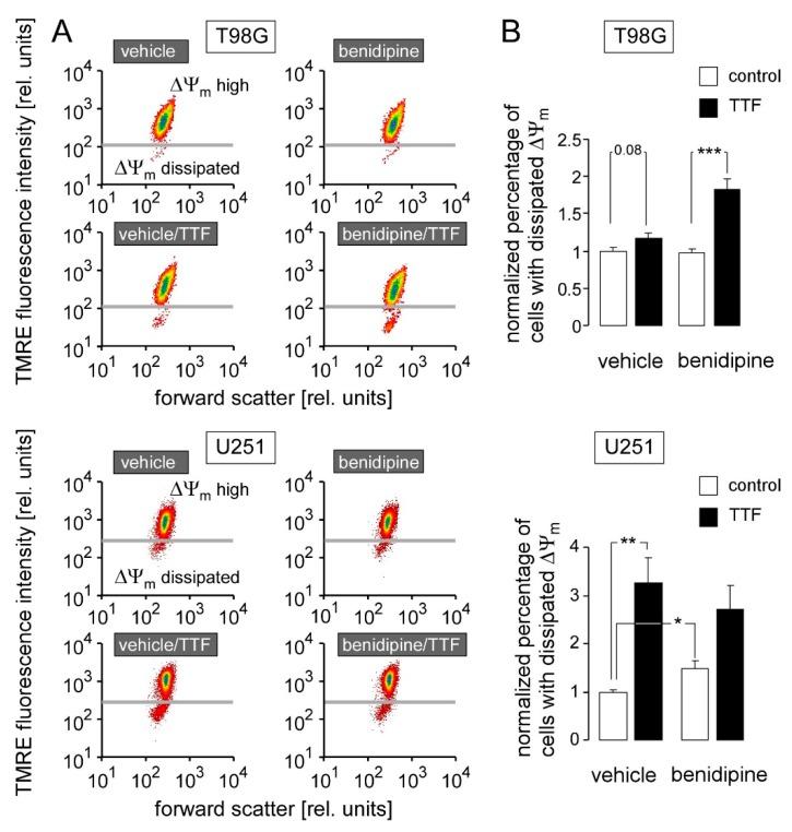 https://cdn.ncbi.nlm.nih.gov/pmc/blobs/5c27/6356873/f4e544d0b619/cancers-11-00110-g008.jpg