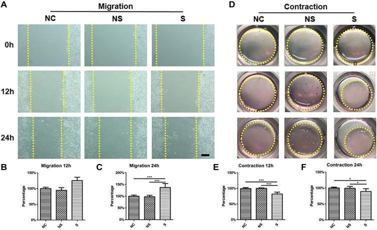 https://cdn.ncbi.nlm.nih.gov/pmc/blobs/5c28/8001608/4c781073059f/JIR-14-1055-g0007.jpg