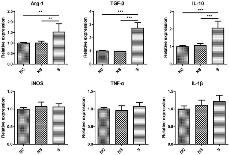 https://cdn.ncbi.nlm.nih.gov/pmc/blobs/5c28/8001608/5038335a7c02/JIR-14-1055-g0005.jpg