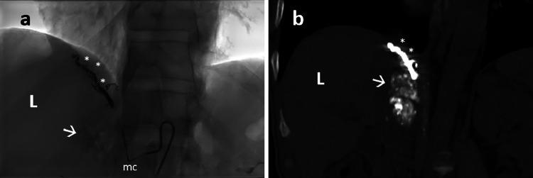 https://cdn.ncbi.nlm.nih.gov/pmc/blobs/5c29/11265365/54f6978ba91c/gr4.jpg