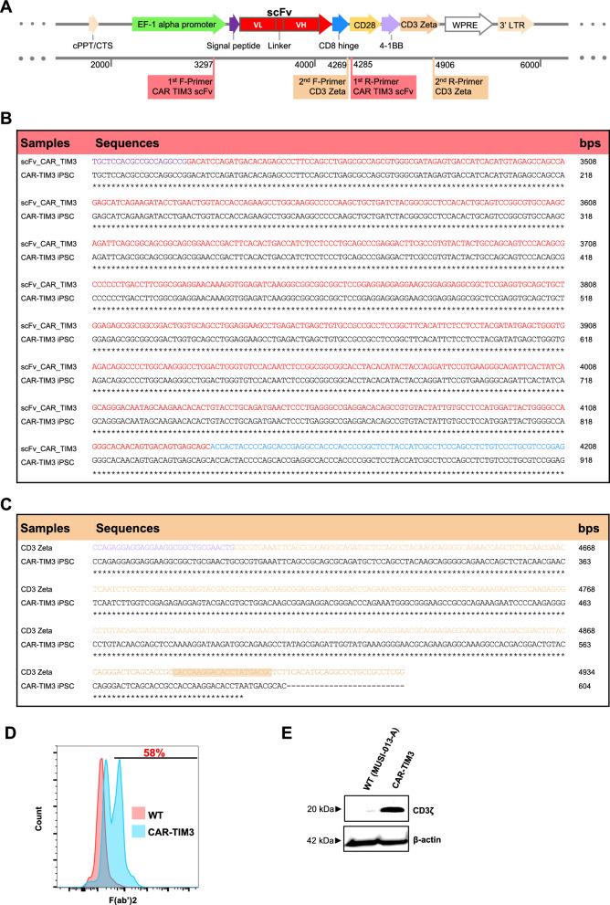 https://cdn.ncbi.nlm.nih.gov/pmc/blobs/5c2b/10680184/0e7b2ee82ca4/12935_2023_3153_Fig1_HTML.jpg