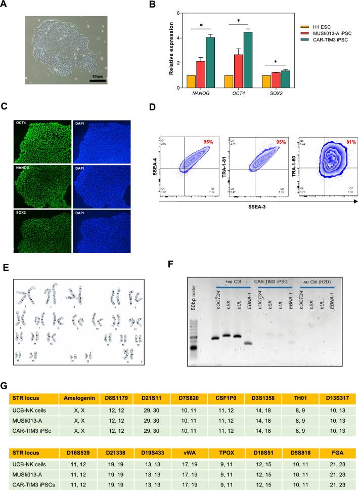 https://cdn.ncbi.nlm.nih.gov/pmc/blobs/5c2b/10680184/cffdf37c4547/12935_2023_3153_Fig2_HTML.jpg