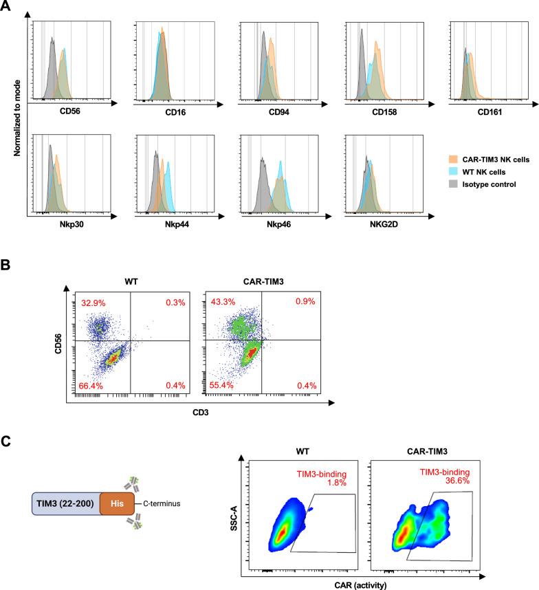 https://cdn.ncbi.nlm.nih.gov/pmc/blobs/5c2b/10680184/eca21ac94937/12935_2023_3153_Fig5_HTML.jpg
