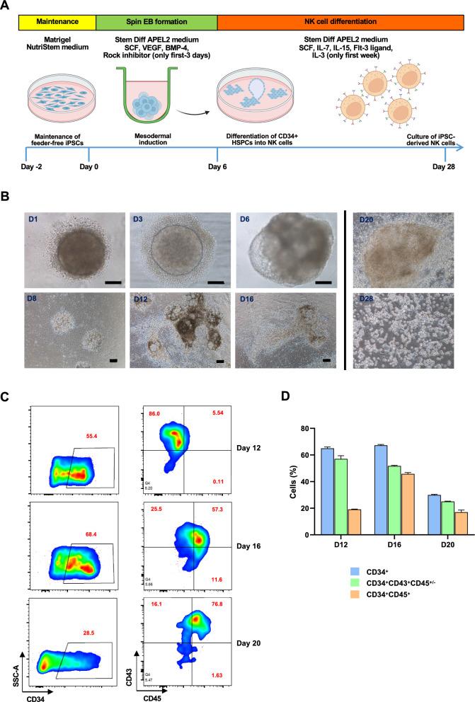 https://cdn.ncbi.nlm.nih.gov/pmc/blobs/5c2b/10680184/f05430d131b7/12935_2023_3153_Fig4_HTML.jpg