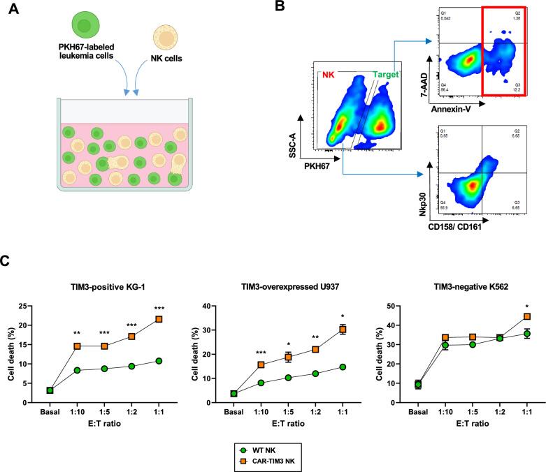 https://cdn.ncbi.nlm.nih.gov/pmc/blobs/5c2b/10680184/f4b077e590a2/12935_2023_3153_Fig6_HTML.jpg