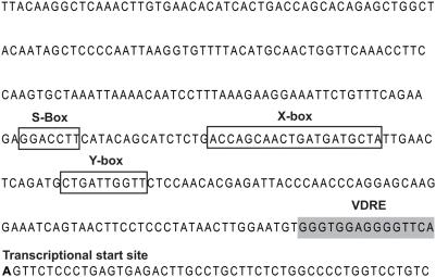 https://cdn.ncbi.nlm.nih.gov/pmc/blobs/5c2c/2627899/046215ea7fc3/pgen.1000369.g001.jpg