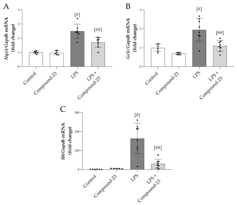 https://cdn.ncbi.nlm.nih.gov/pmc/blobs/5c2d/12189621/27f73d3d71f9/antioxidants-14-00719-g005.jpg
