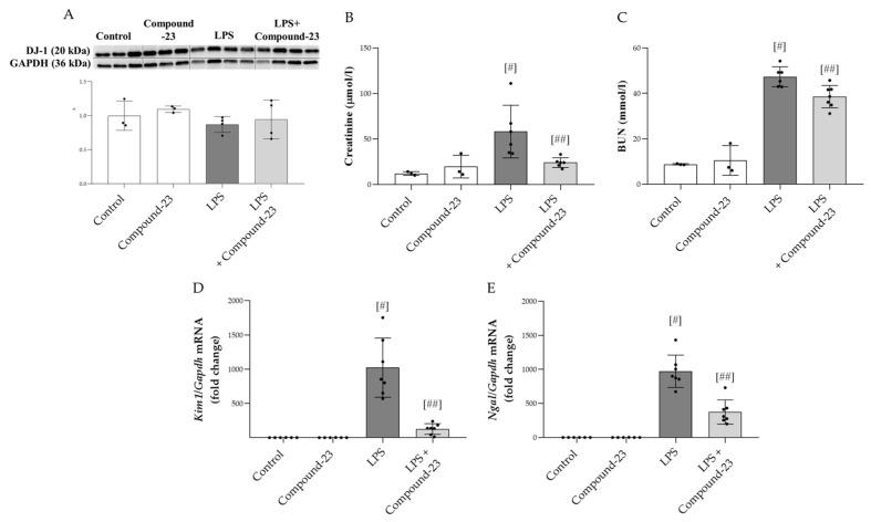 https://cdn.ncbi.nlm.nih.gov/pmc/blobs/5c2d/12189621/f5430461748d/antioxidants-14-00719-g004.jpg