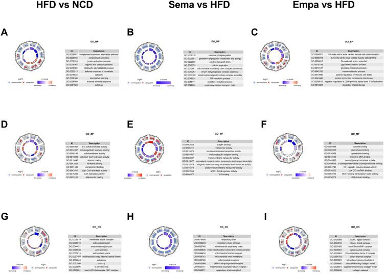 https://cdn.ncbi.nlm.nih.gov/pmc/blobs/5c2e/10942255/633822ac1746/DMSO-17-1217-g0006.jpg