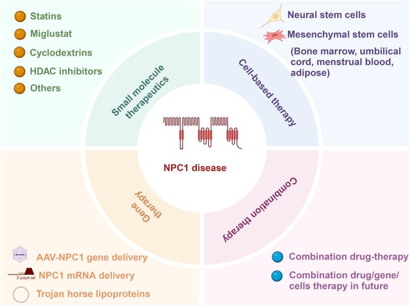 https://cdn.ncbi.nlm.nih.gov/pmc/blobs/5c2e/11387184/0a417918e56b/fphar-15-1465872-g002.jpg