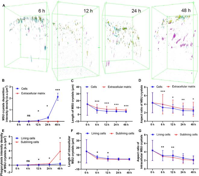 https://cdn.ncbi.nlm.nih.gov/pmc/blobs/5c30/11128648/601528b7c5b1/research.0373.fig.006.jpg